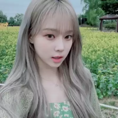 盖菊华